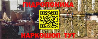 шишки Моздок